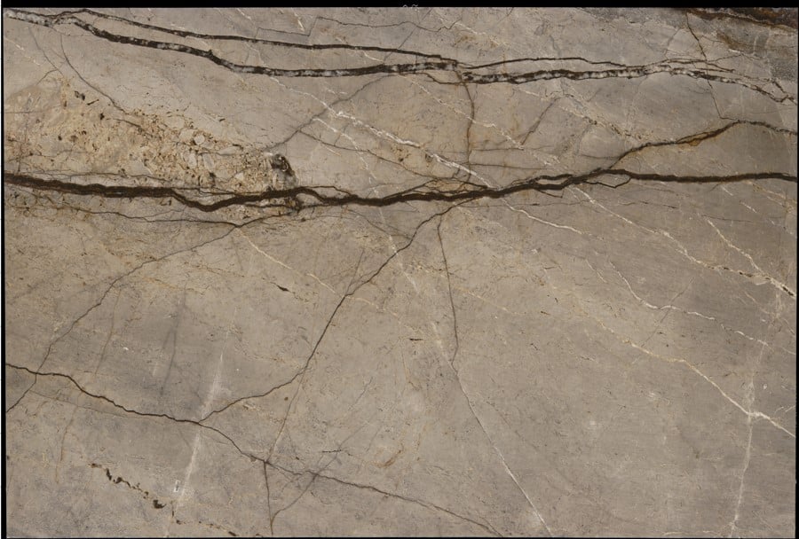 Wild Forest thumbnail 2